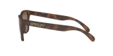 Oakley Frogskins Glasses-8