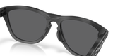 Oakley Frogskins Range XL Glasses-7