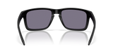 Oakley Holbrook XXL Glasses-4