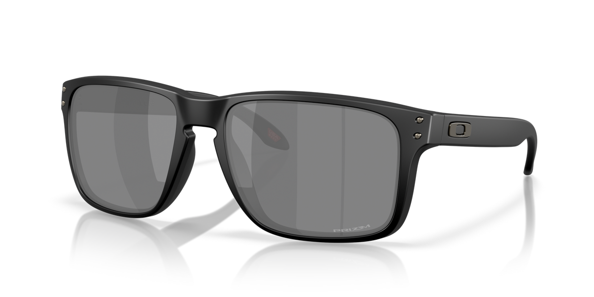 Oakley Holbrook XXL Glasses-2