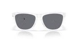 Oakley Frogskins Glasses-8