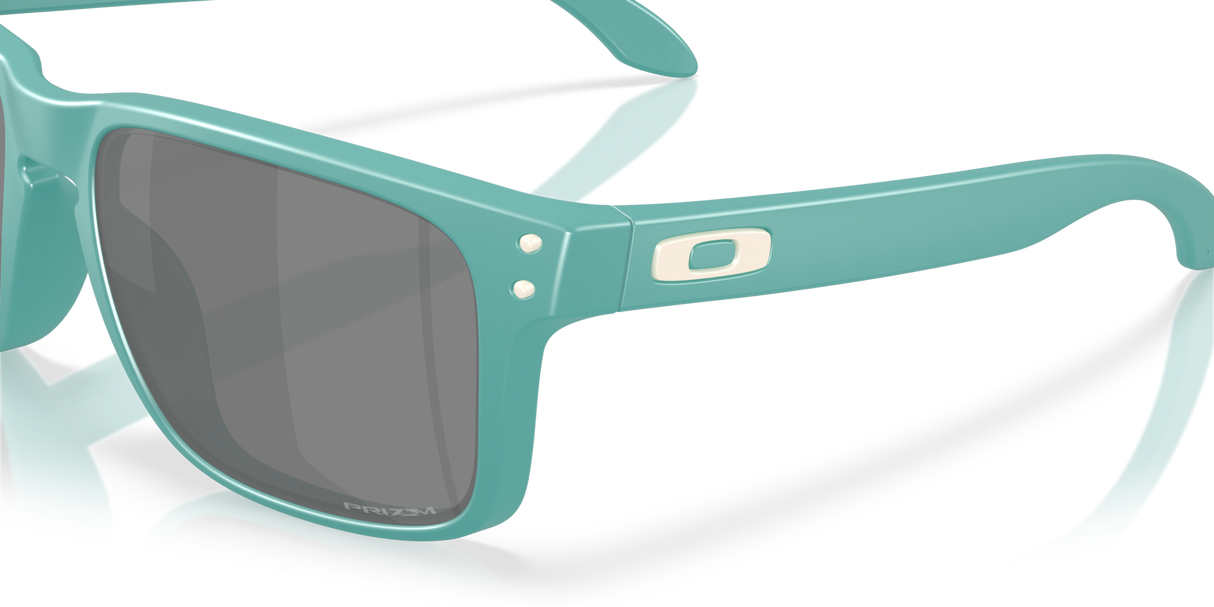 Oakley Holbrook A Glasses-6