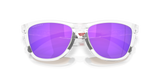 Oakley Frogskins Range XL Glasses-9