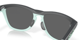 Oakley Frogskins Range Glasses-7