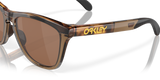 Oakley Frogskins Range Glasses-6