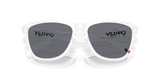 Oakley Frogskins Glasses-9