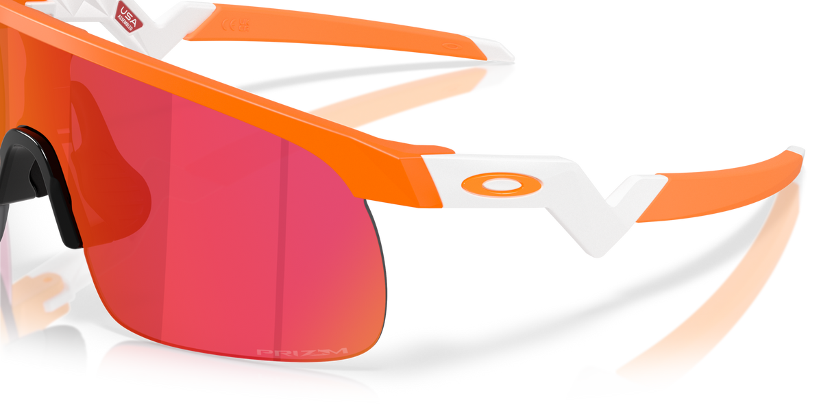 Oakley Resistor Sunglasses-6