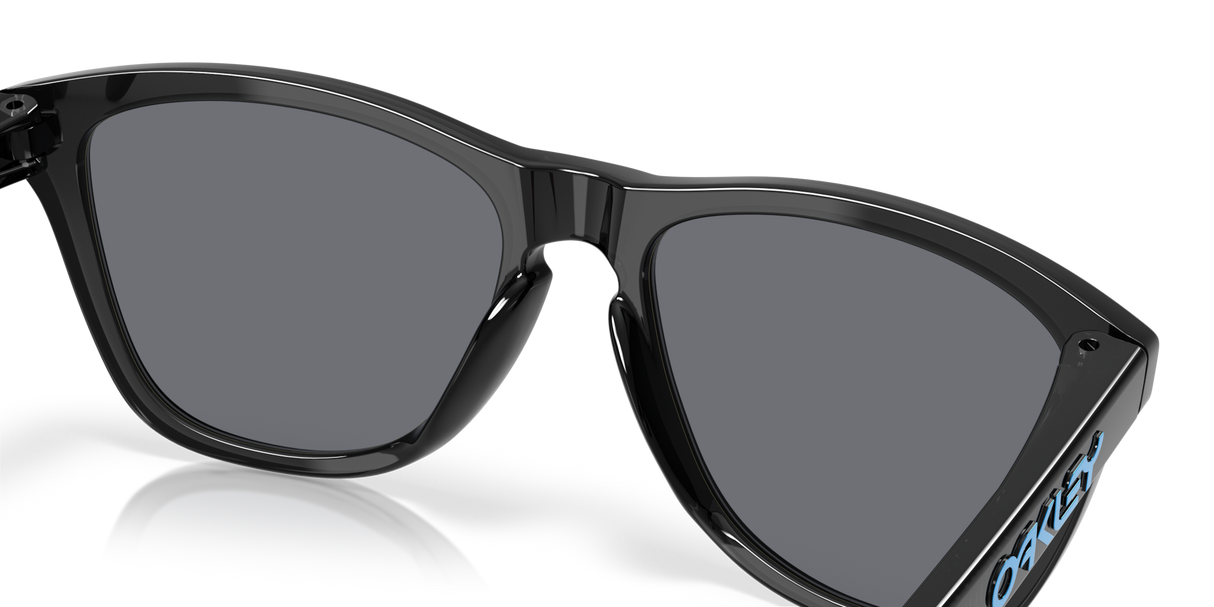Oakley Frogskins Glasses-7