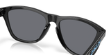 Oakley Frogskins Glasses-7