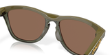 Oakley Frogskins Range Glasses-7