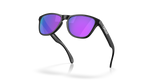 Oakley Frogskins S Glasses-5