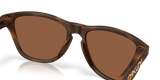 Oakley Frogskins S Glasses-7