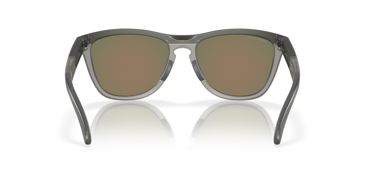 Oakley Frogskins Range Glasses-4