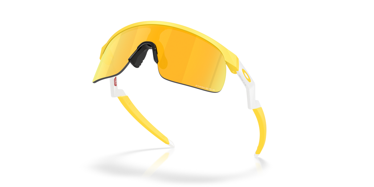 Oakley Resistor Sunglasses-5
