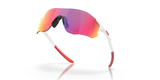 Oakley Evzero Path A Sunglasses-9