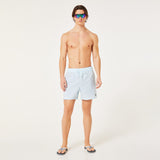 Oakley Men's Robinson RC 16" Beach Shorts-9