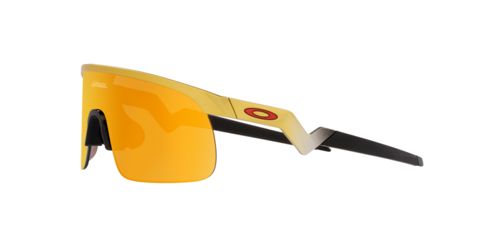 Oakley Resistor NFL Sunglasses-7