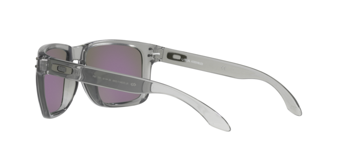 Oakley Holbrook XL Glasses-12