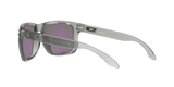 Oakley Holbrook XL Glasses-12