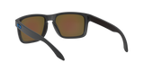 Oakley Holbrook A Glasses-12