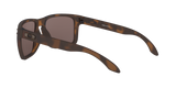 Oakley Holbrook XL Glasses-12