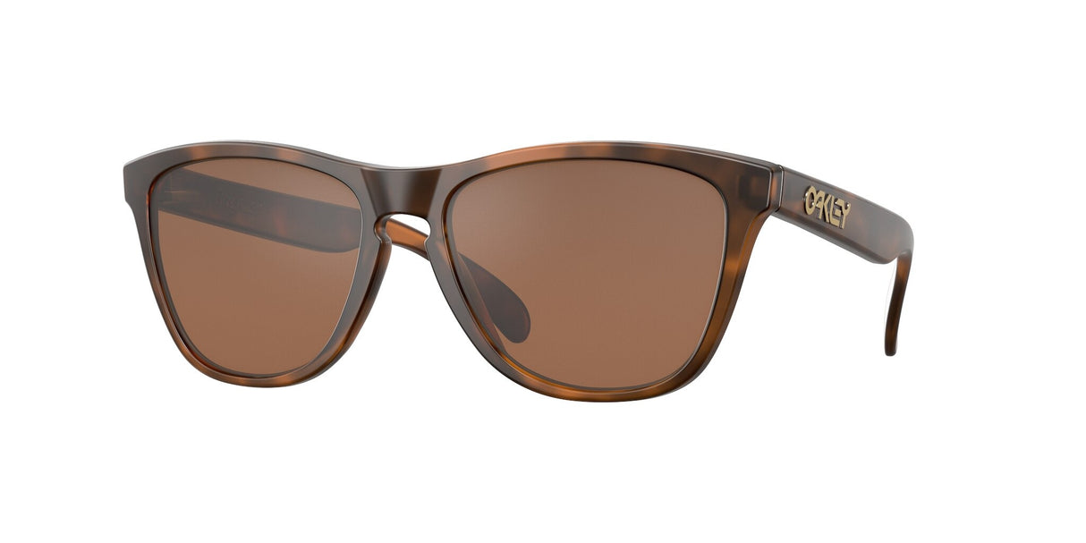 Oakley Frogskins Glasses-1