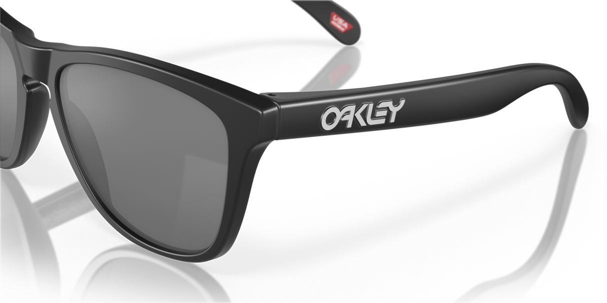 Oakley Frogskins Glasses-10