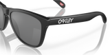 Oakley Frogskins Glasses-10