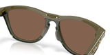 Oakley Frogskins Range XL Glasses-7