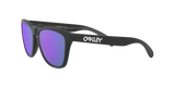 Oakley Frogskins Glasses-6