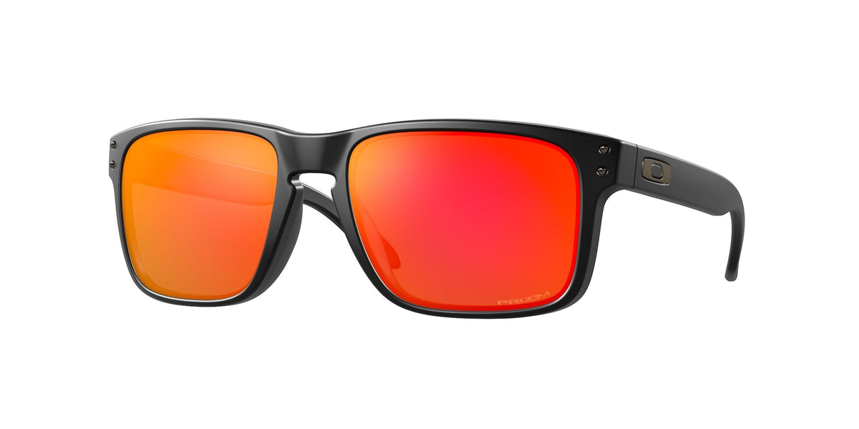 Oakley Holbrook Glasses-1