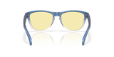 Oakley Frogskins S Glasses-4