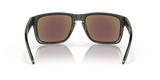 Oakley Holbrook XL Glasses-7