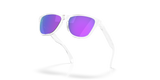 Oakley Frogskins S Glasses-5