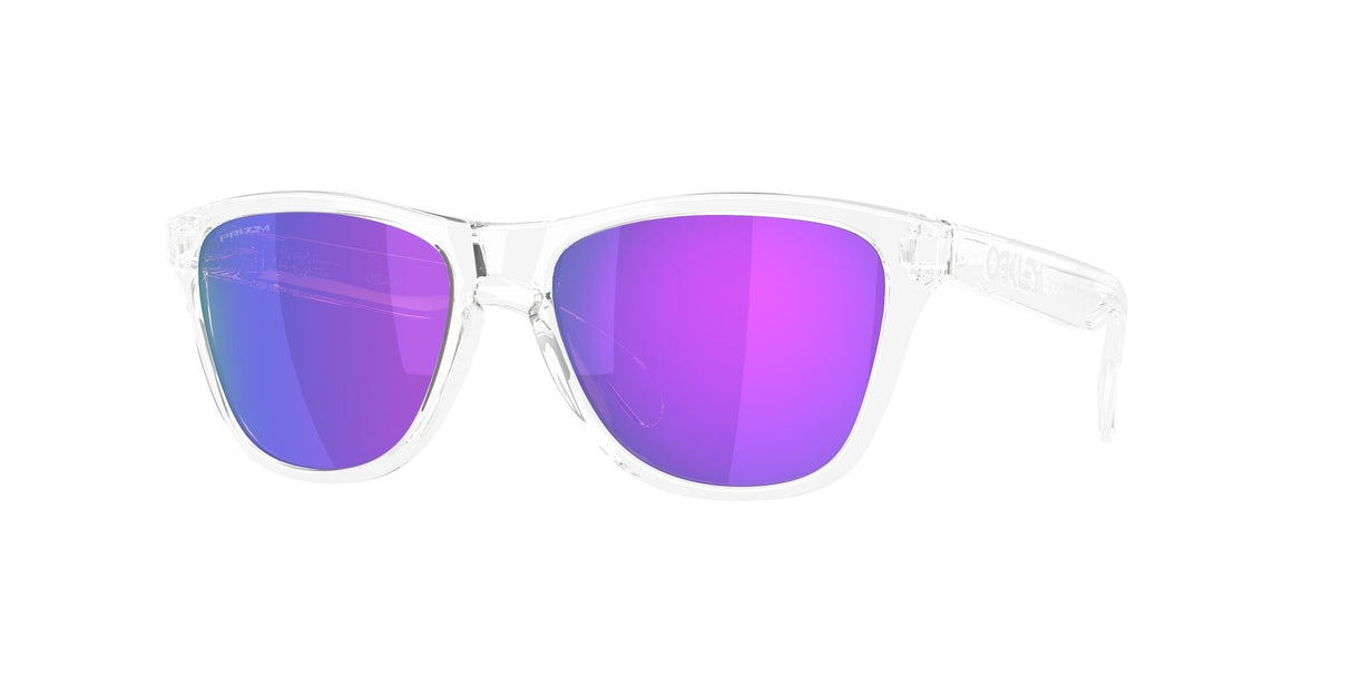 Oakley Frogskins S Glasses-1