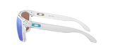 Oakley Holbrook XL Glasses-8