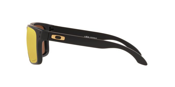 Oakley Holbrook XL Glasses-11