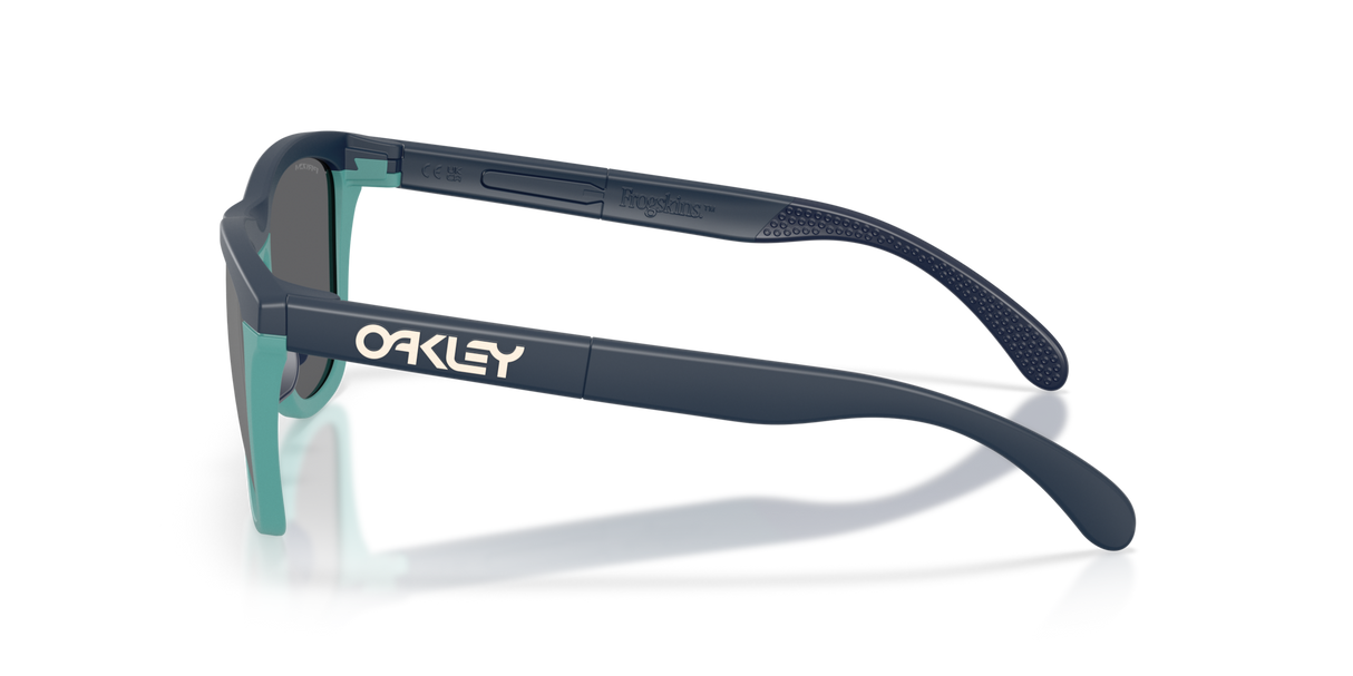 Oakley Frogskins Range Glasses-3