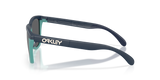 Oakley Frogskins Range Glasses-3