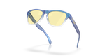 Oakley Frogskins XS Glasses-5
