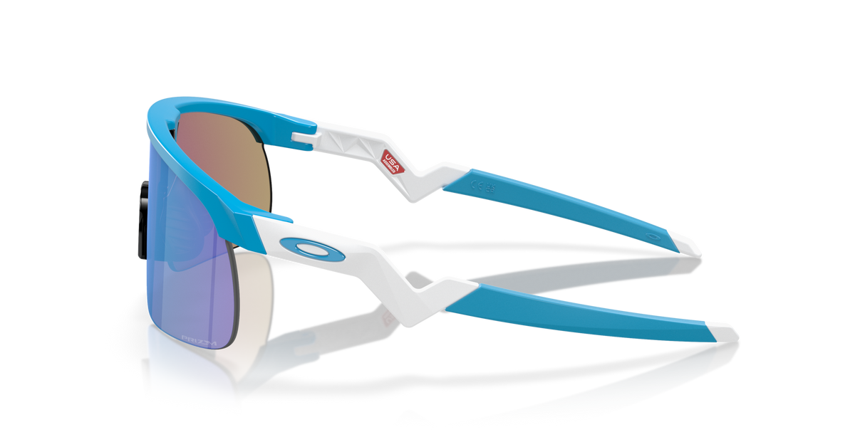 Oakley Resistor Sunglasses-3