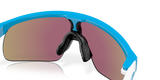 Oakley Resistor Sunglasses-7