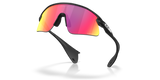 Oakley Stunt Devil Sunglasses-5