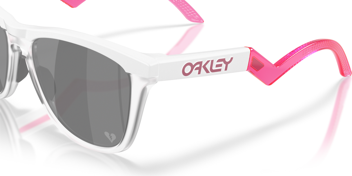 Oakley Frogskins Hybrid Glasses-6
