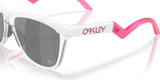 Oakley Frogskins Hybrid Glasses-6