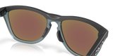 Oakley Frogskins Range Glasses-7