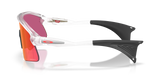 Oakley Stunt Devil Sunglasses-3