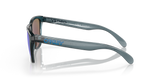 Oakley Frogskins Glasses-5