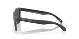 Oakley Frogskins Glasses-3
