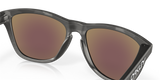 Oakley Frogskins A Glasses-10